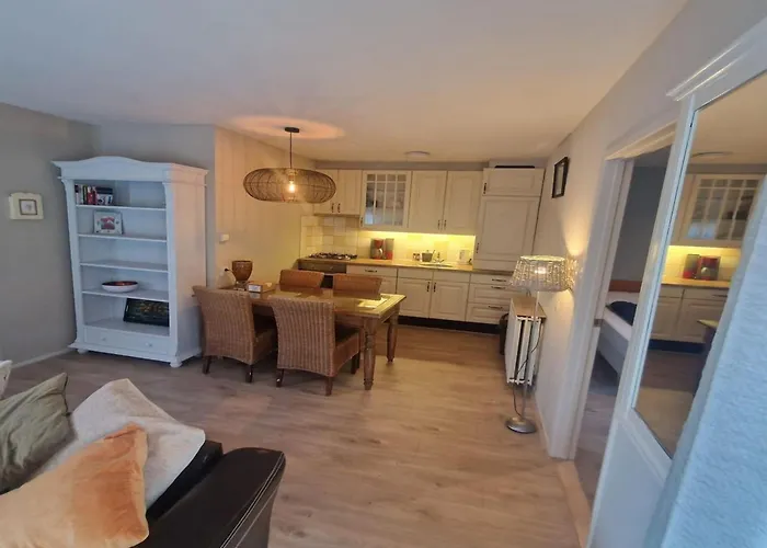 Seagull Park Sollasi *